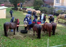 GertrüdchenFoto2 GertrüdchenFoto2