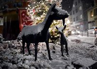 Advent Platz der Generationen - P. Reker