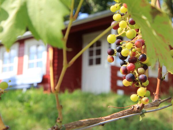 Hintergrund_Freizeit_06